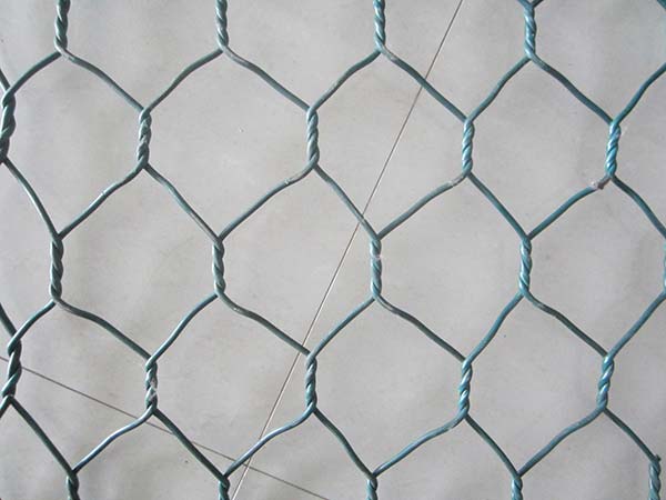 Hexagonal Wire netting图片1