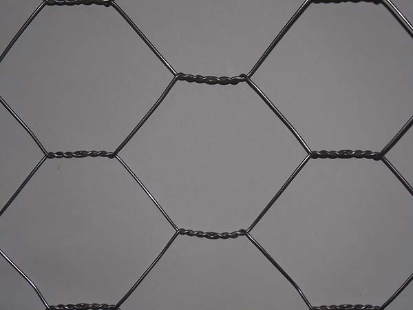 Hexagonal Wire netting图片3